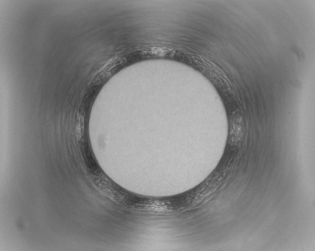 X0000115530656200912181528