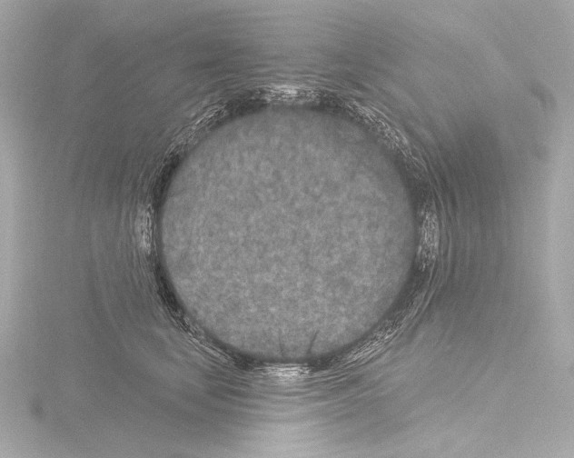 X0000115530659200912181528