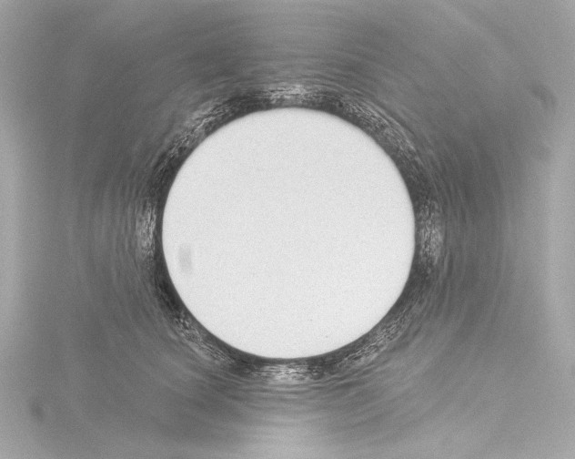 X0000115530660200912181528