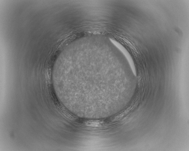 X0000115530661200912181528