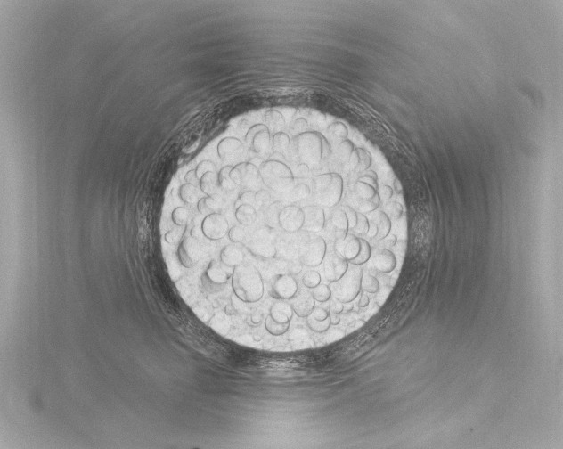 X0000115530662200912181528