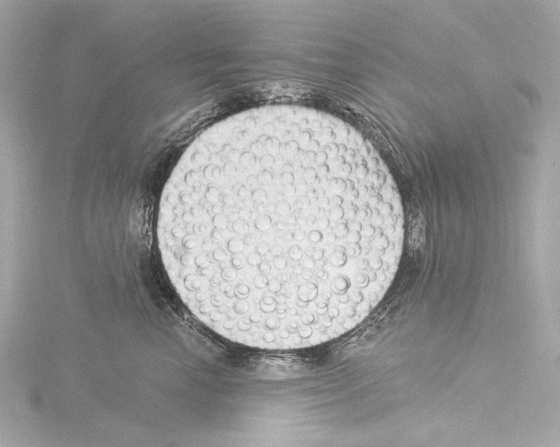 X0000115530666200912181528