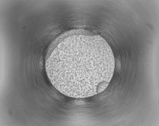 X0000115530668200912181528