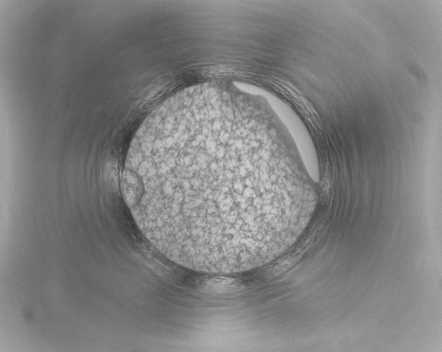 X0000115530669200912181528