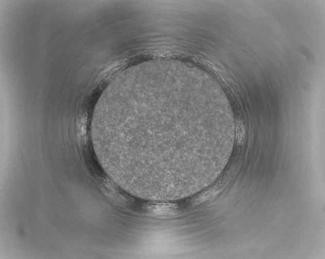 X0000115530670200912181528