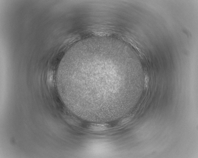 X0000115530671200912181528