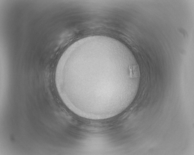 X0000115530672200912181528