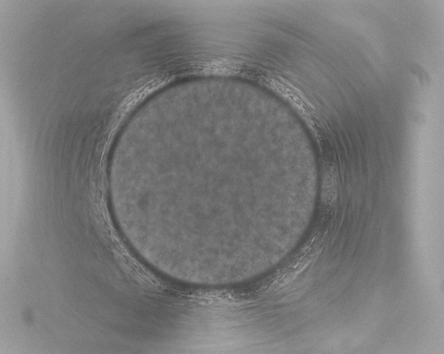 X0000115530673200912181527