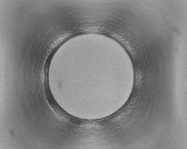 X0000115530674200912181527