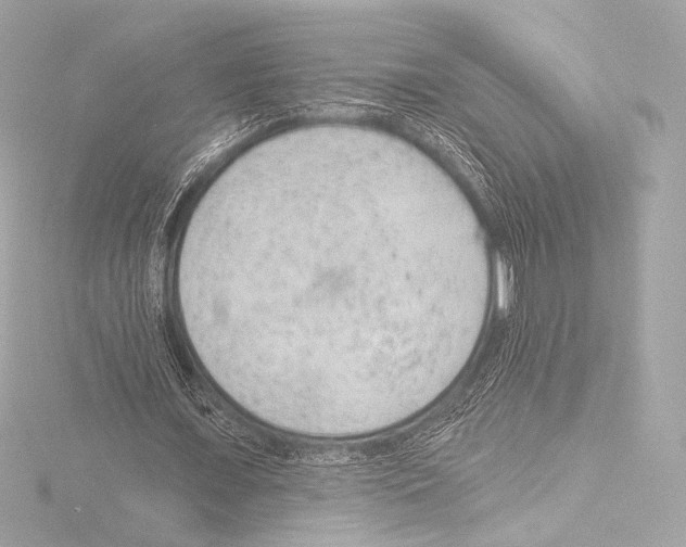 X0000115530675200912181527