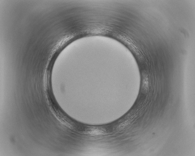 X0000115530678200912181527