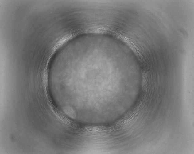 X0000115530679200912181527