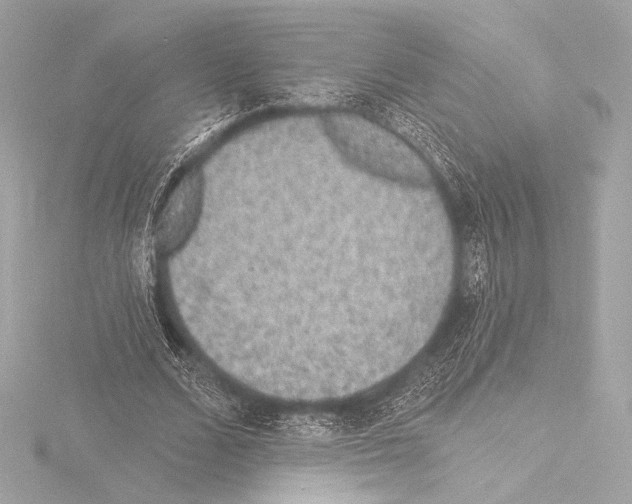 X0000115530680200912181527