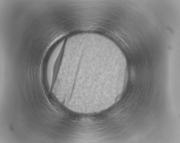 X0000115530684200912181527