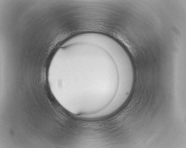 X0000115530685200912181527