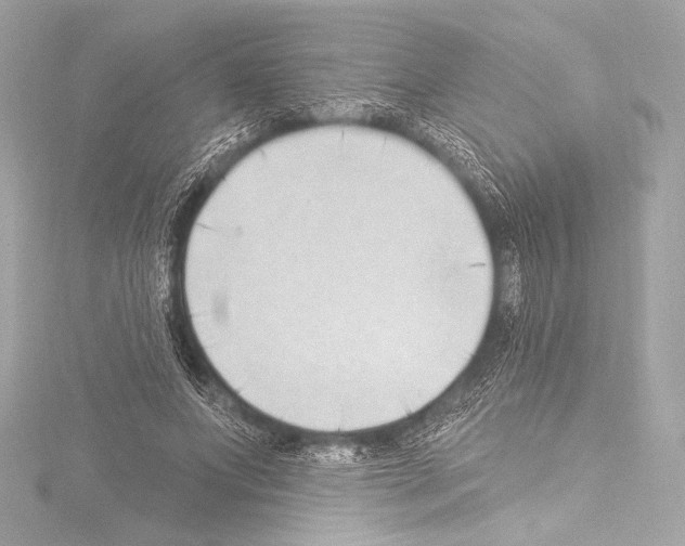 X0000115530687200912181527