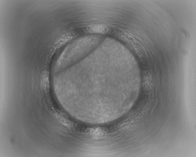 X0000115530688200912181527