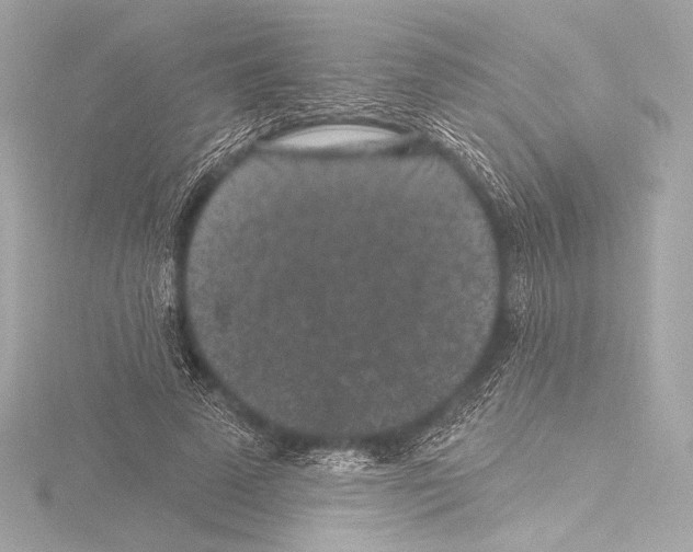 X0000115530689200912181527