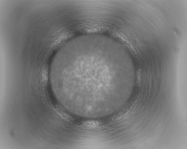 X0000115530691200912181527