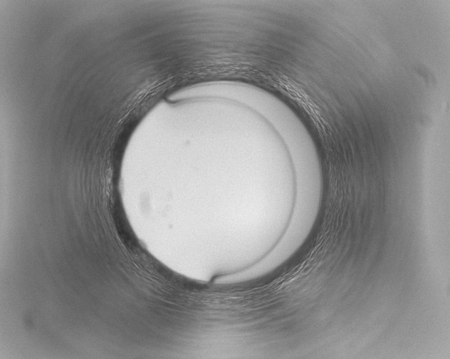 X0000115530693200912181527