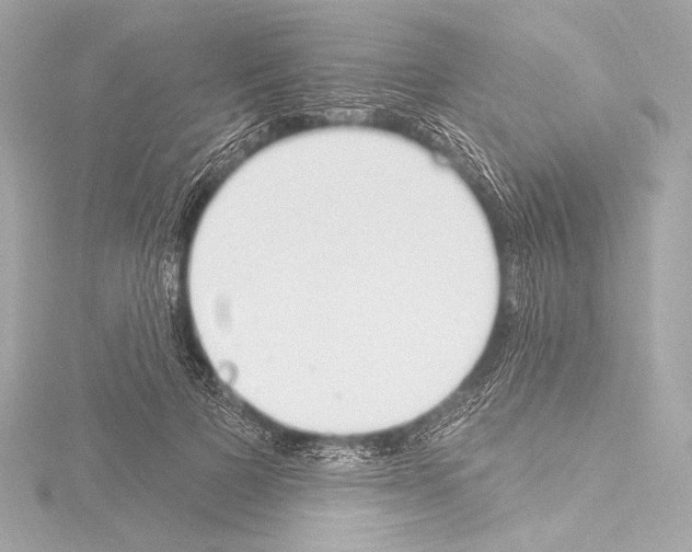 X0000115530697200912181527