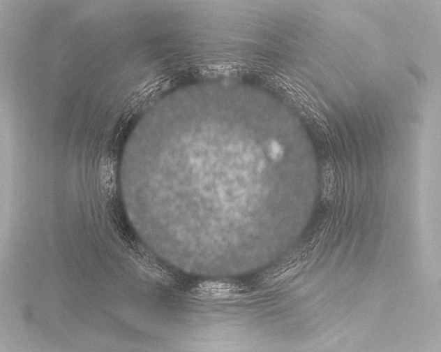 X0000115530699200912181527