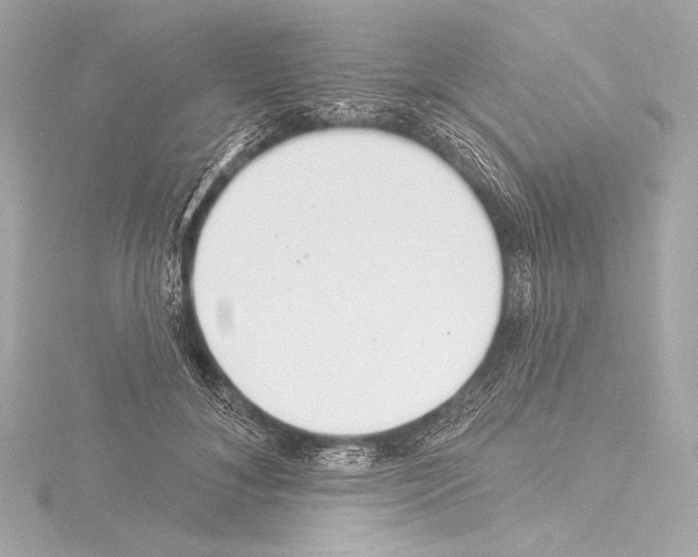 X0000115530700200912181527