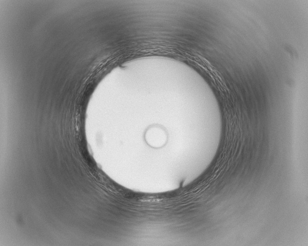 X0000115530701200912181527