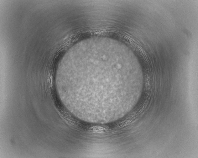 X0000115530703200912181527