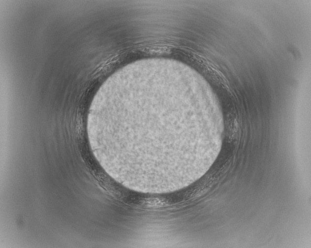 X0000115530704200912181527