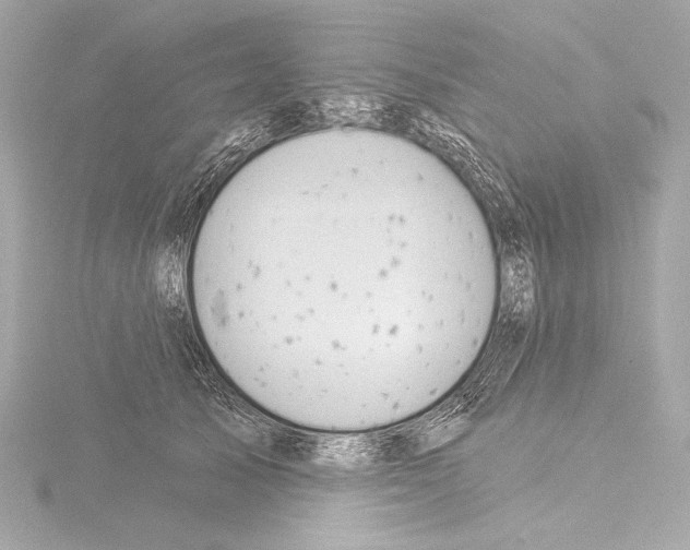 X0000115530705200912181527