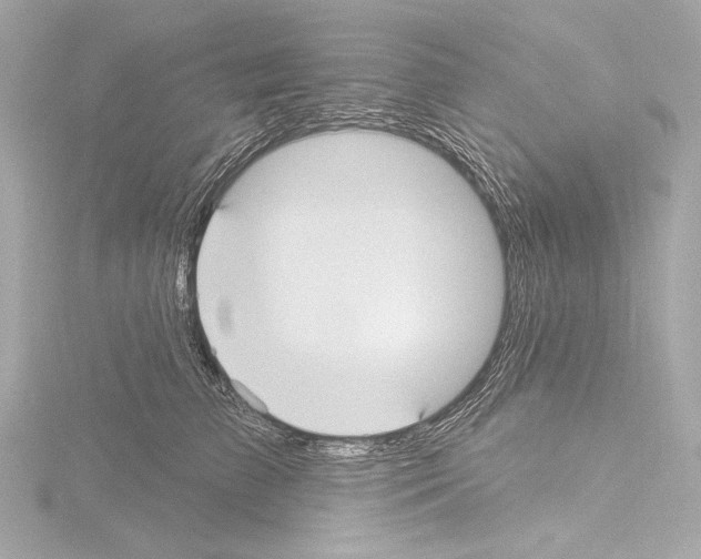 X0000115530709200912181527