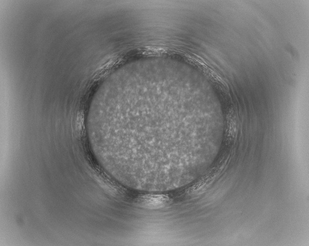 X0000115530711200912181527