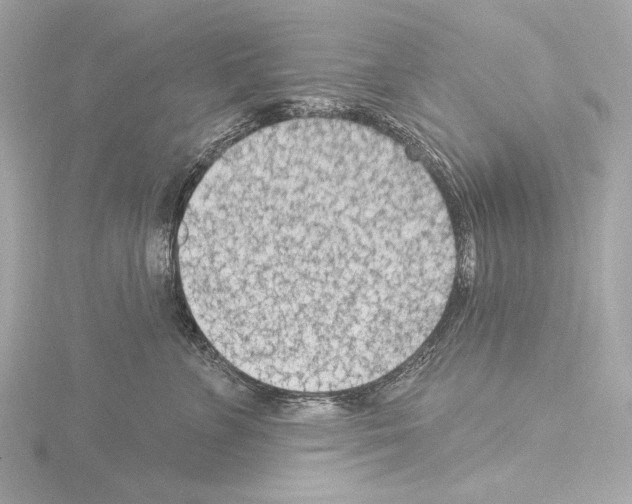 X0000115530715200912181527