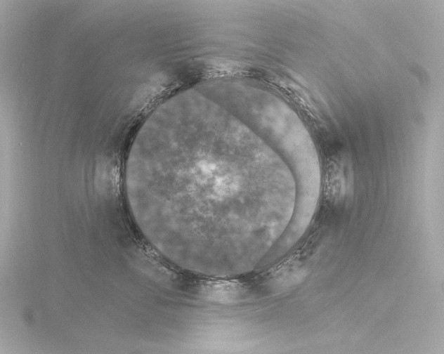 X0000115530716200912181527