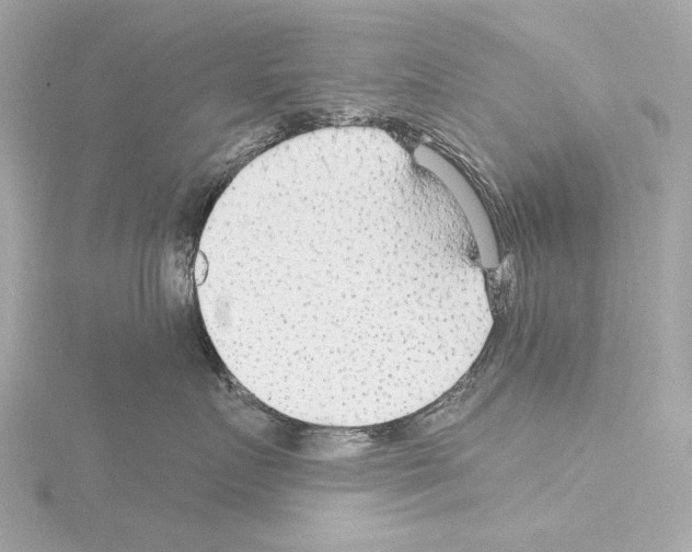 X0000115530719200912181527