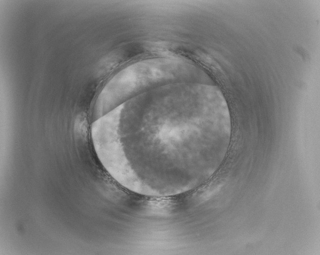 X0000115530720200912181527