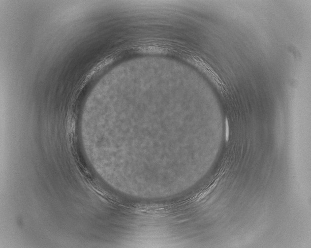 X0000115530723200912181526