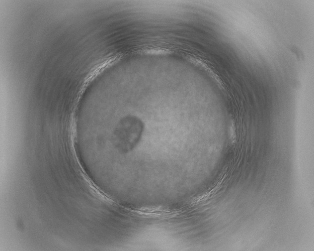 X0000115530725200912181526