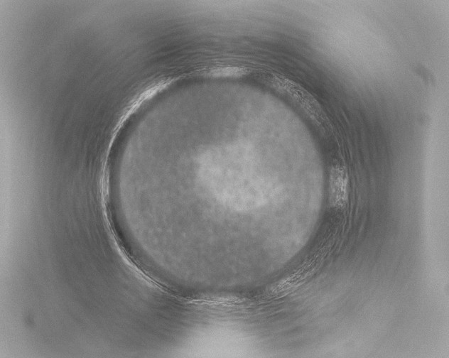 X0000115530726200912181526