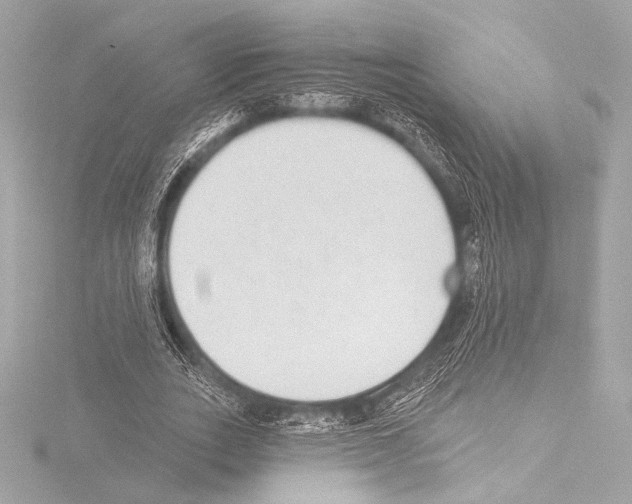 X0000115530727200912181526