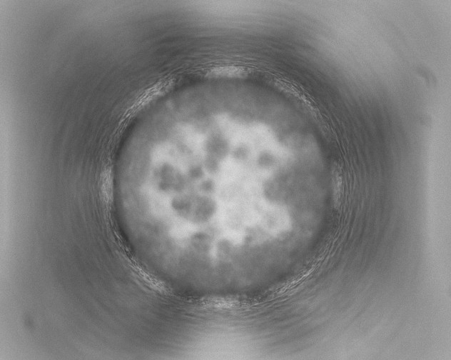 X0000115530729200912181526