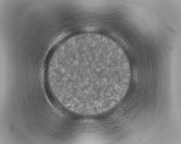 X0000115530730200912181526