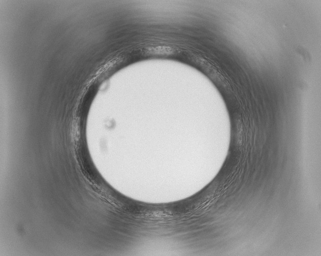 X0000115530731200912181526