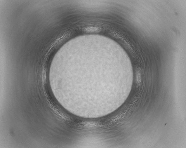 X0000115530733200912181526