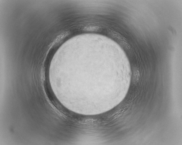 X0000115530734200912181526