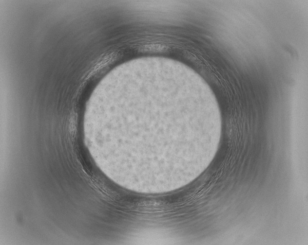 X0000115530735200912181526