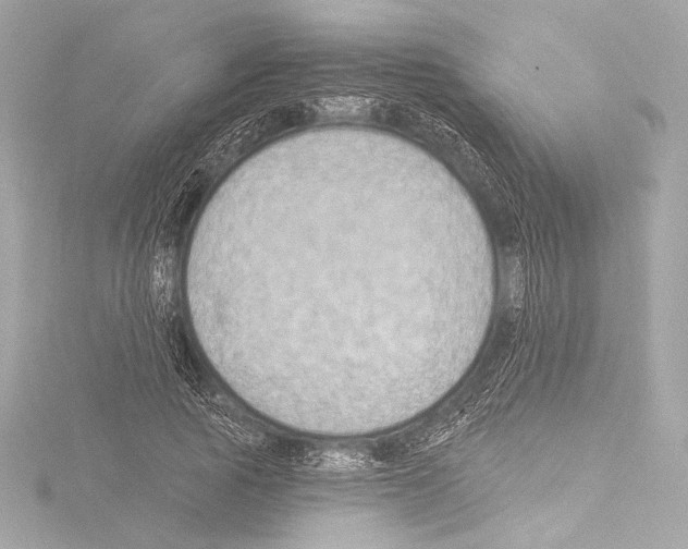 X0000115530737200912181526