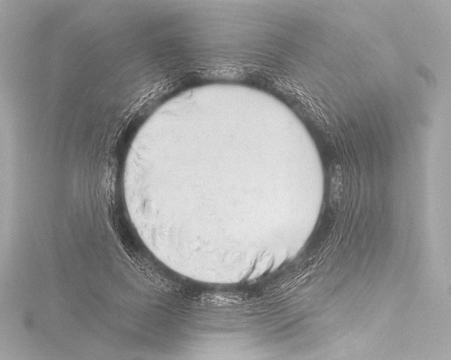 X0000115530739200912181526