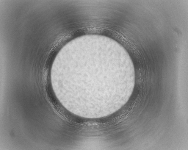 X0000115530742200912181526